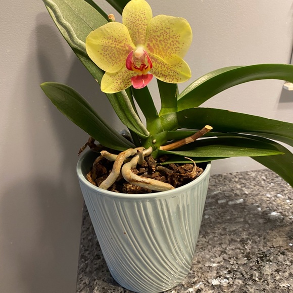 Meet your Posher, Jamie - Picture 2 of 3